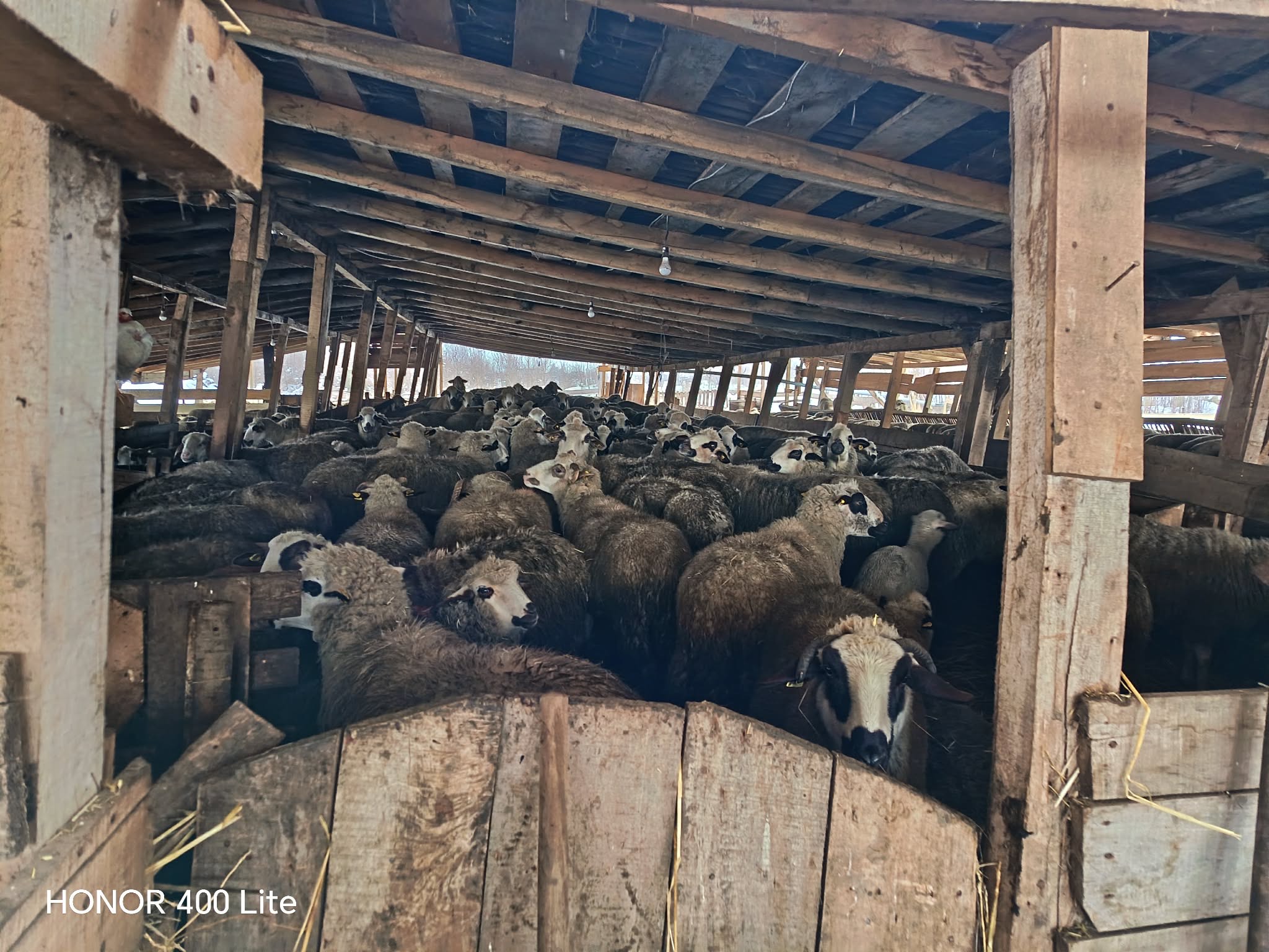 att.HH9MSpJeIGkazWkgBREB58Pedu4Msqd 0YDPJLrweE4